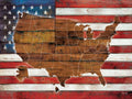American Flag USA Map Poster Print (36 x 24) T914884