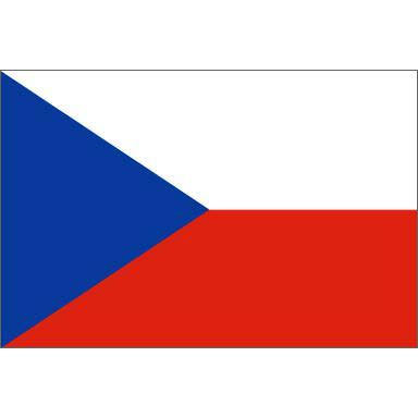 6ft x 10ft Nylon Flag T1269