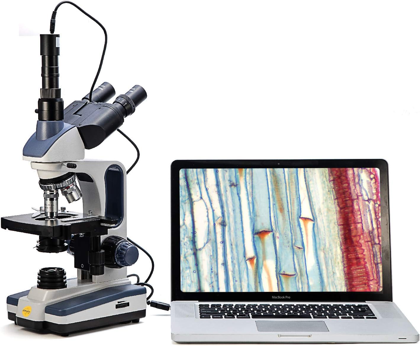 Trinocular Compound Microscope, 40X-2500X Magnification, Two-Layer Mechanical Stage M96650