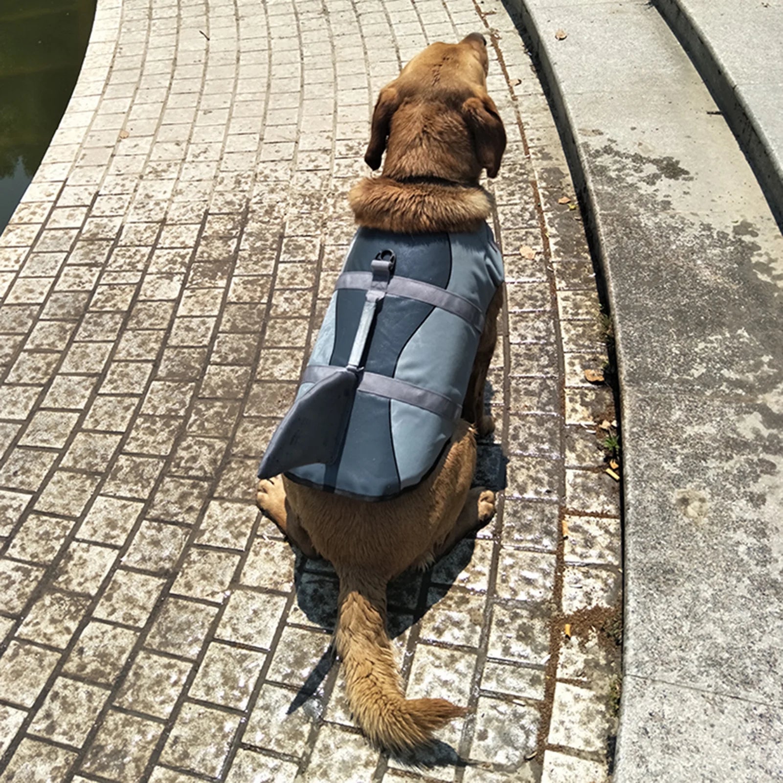 Dog Pet Shark Swimsuit Vest Safety Wear Swimsuit Preserver H57210