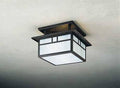Semi-Flush Mount Light D613