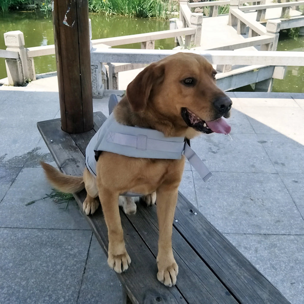 Dog Pet Shark Swimsuit Vest Safety Wear Swimsuit Preserver H57210
