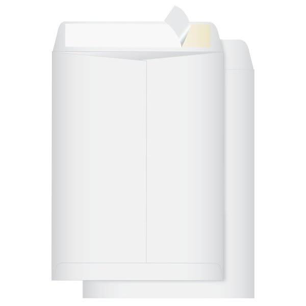 Catalog Envelopes B16998