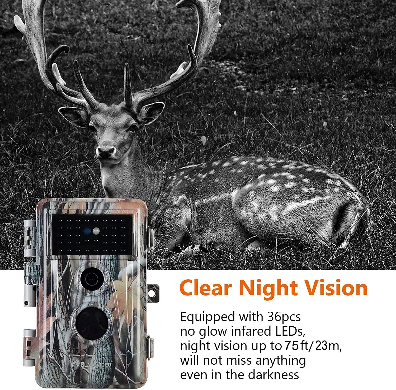 2-Pack 24MP 1296P No Glow Waterproof Trail Cameras F24516