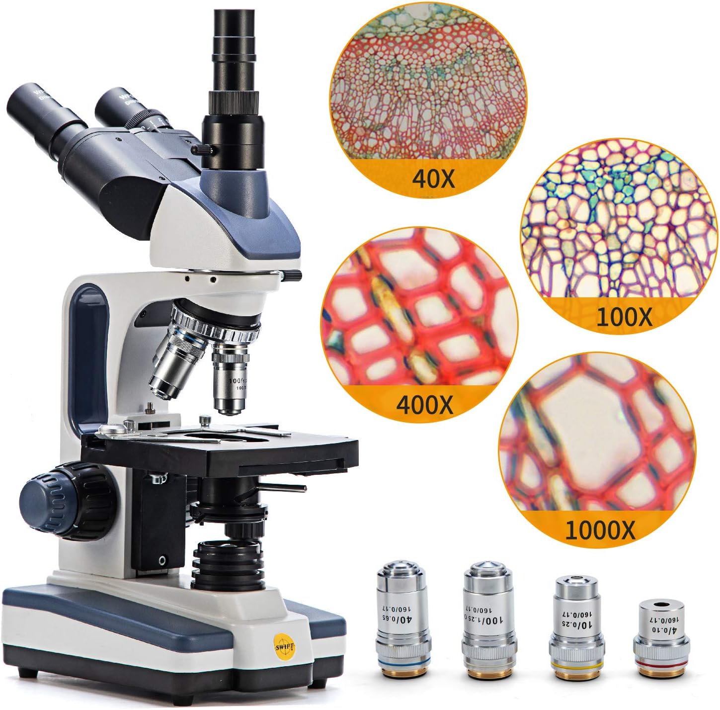 Trinocular Compound Microscope, 40X-2500X Magnification, Two-Layer Mechanical Stage M96650