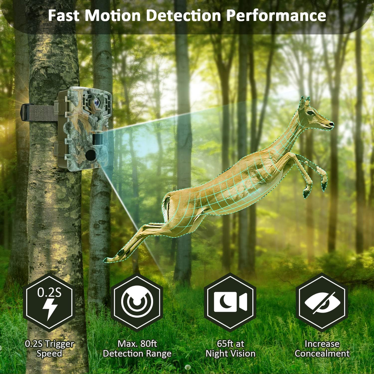 4K 32MP Bluetooth Wildlife Camera with Night Vision B207