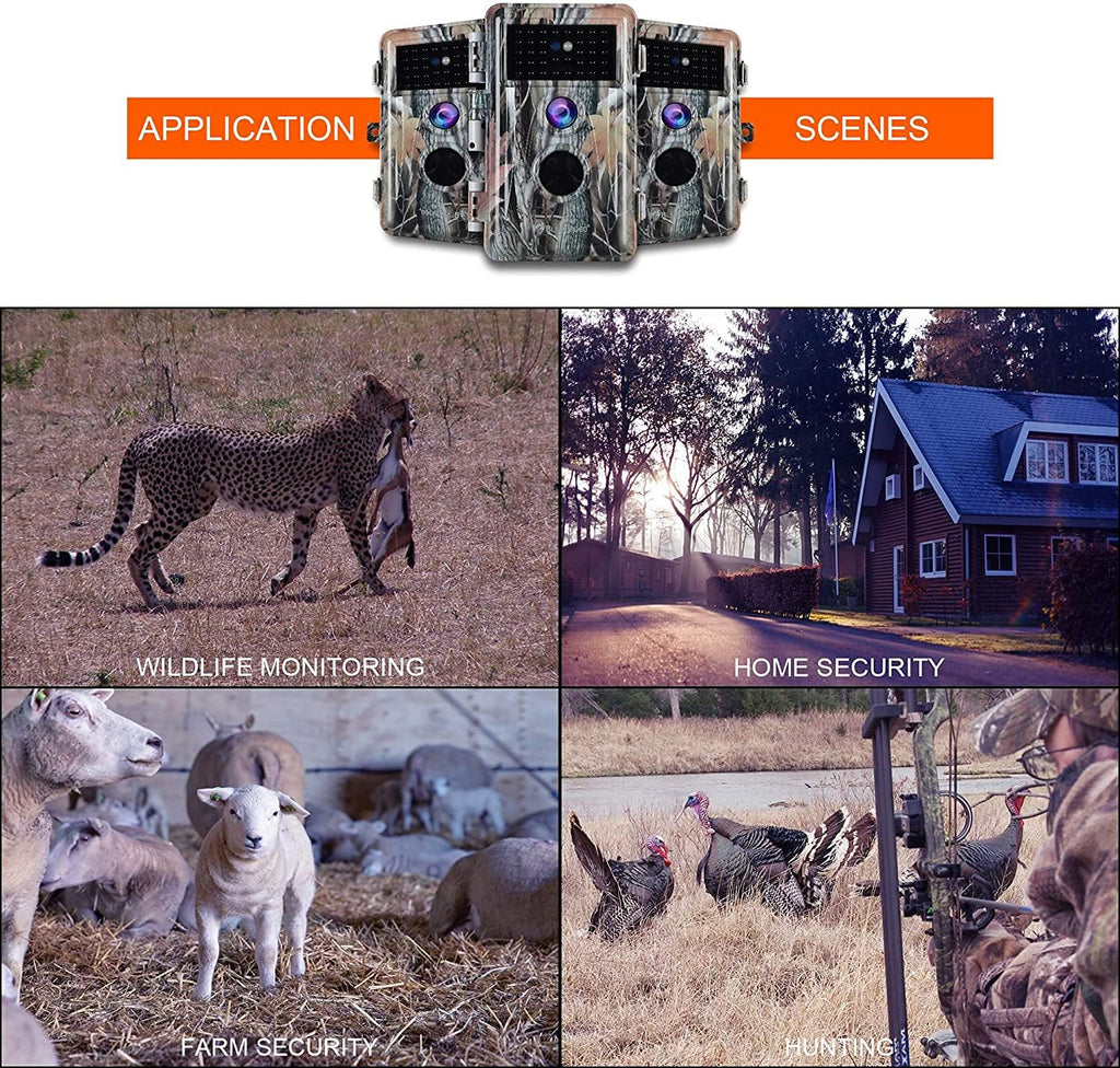 2-Pack 24MP 1296P No Glow Waterproof Trail Cameras F24516