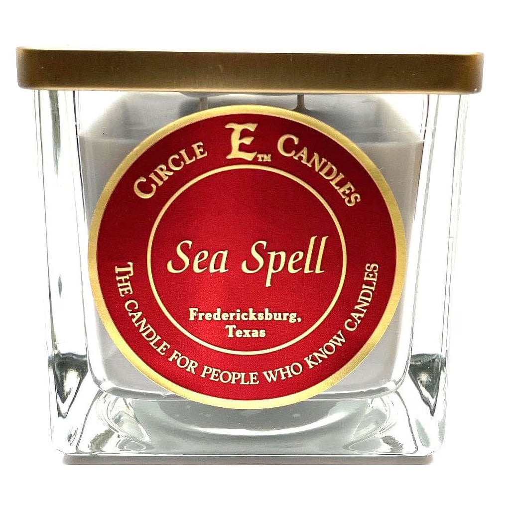 Medium Size Jar Candle, 22oz, 2 Wicks R365