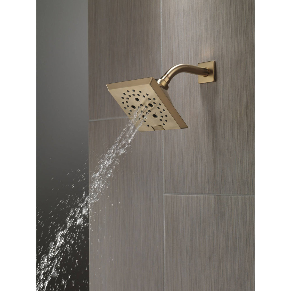 Champagne Bronze Raincan Shower Head V890489