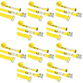 2 inch x 12& Cam Buckle Straps with E Fittings (10 Pack) D4798