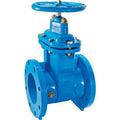 Cast Iron Gate Valve 2-1/2 in T43748