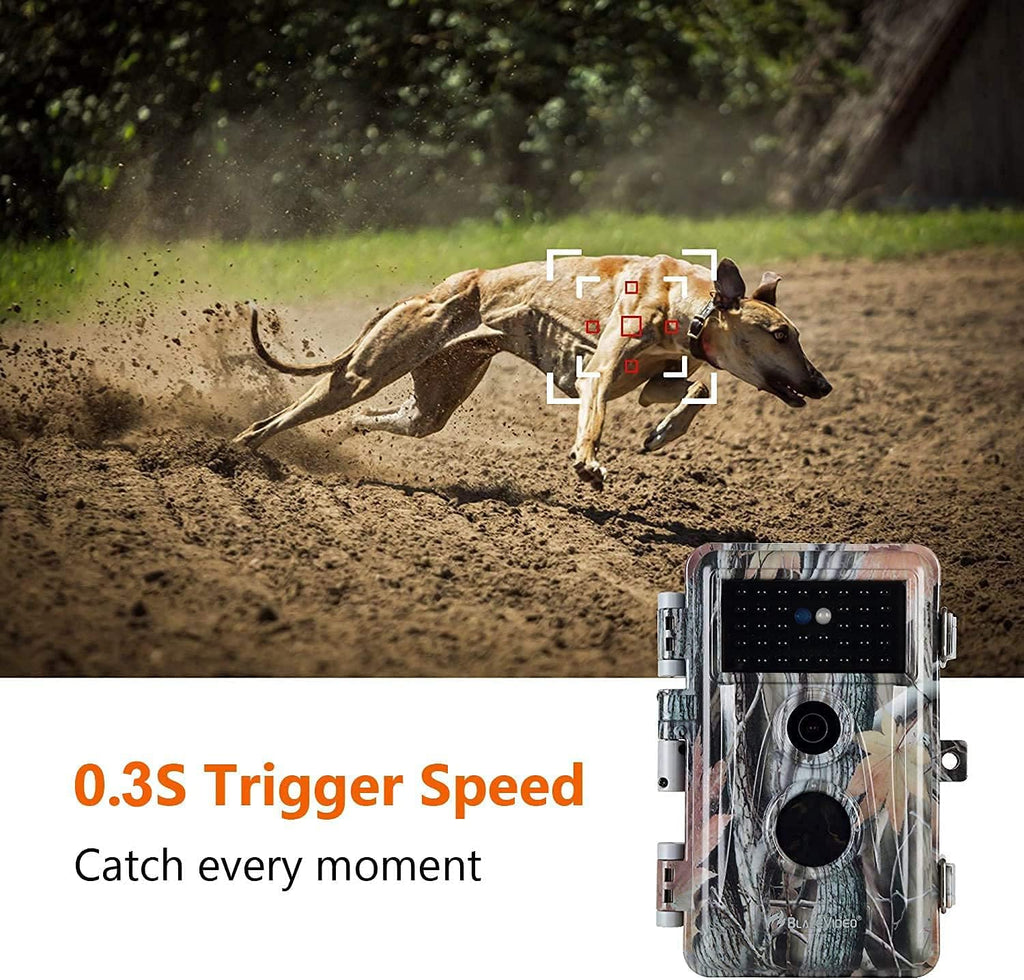 2-Pack 24MP 1296P No Glow Waterproof Trail Cameras F24516