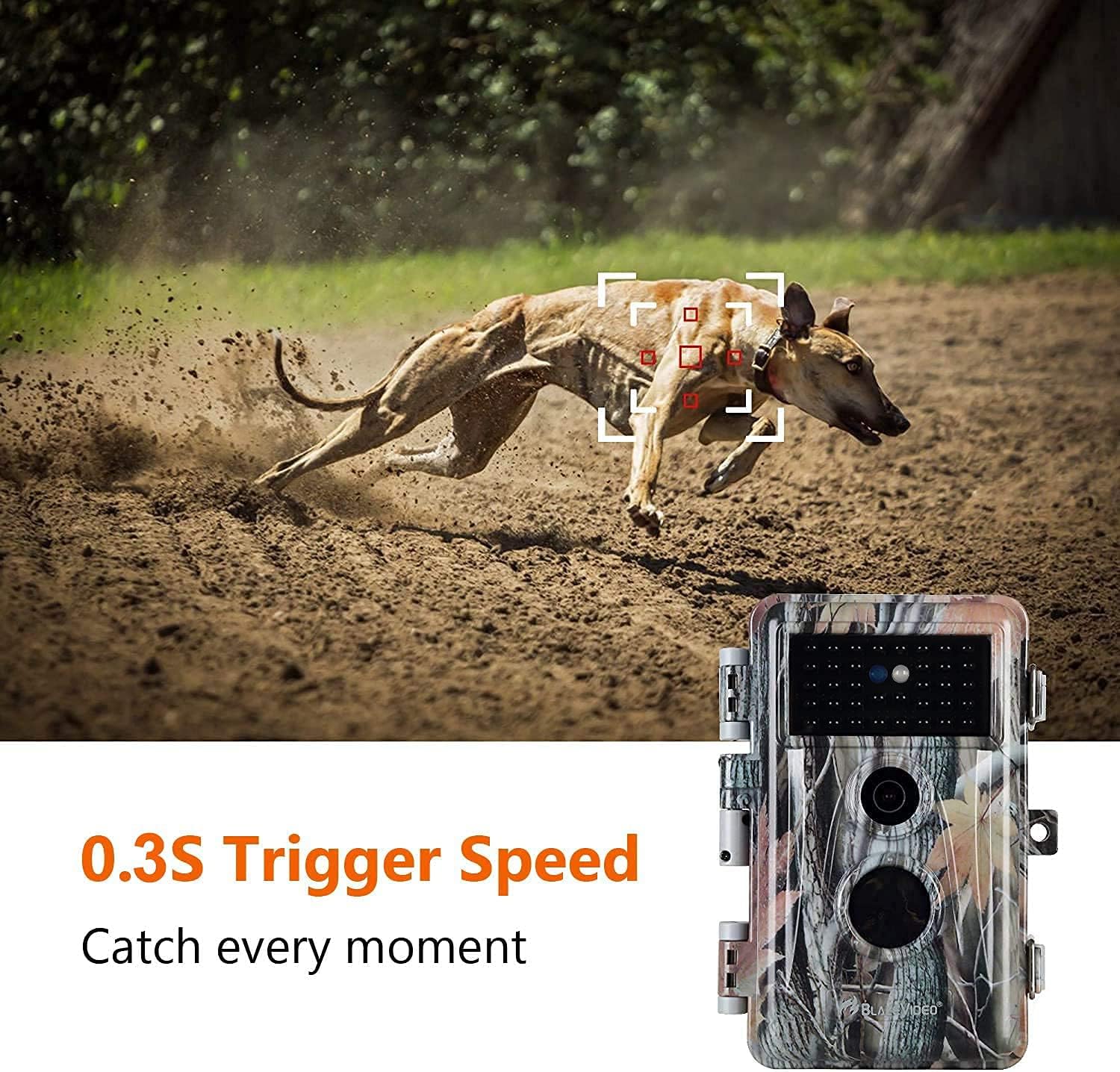 2-Pack 24MP 1296P No Glow Waterproof Trail Cameras F24516