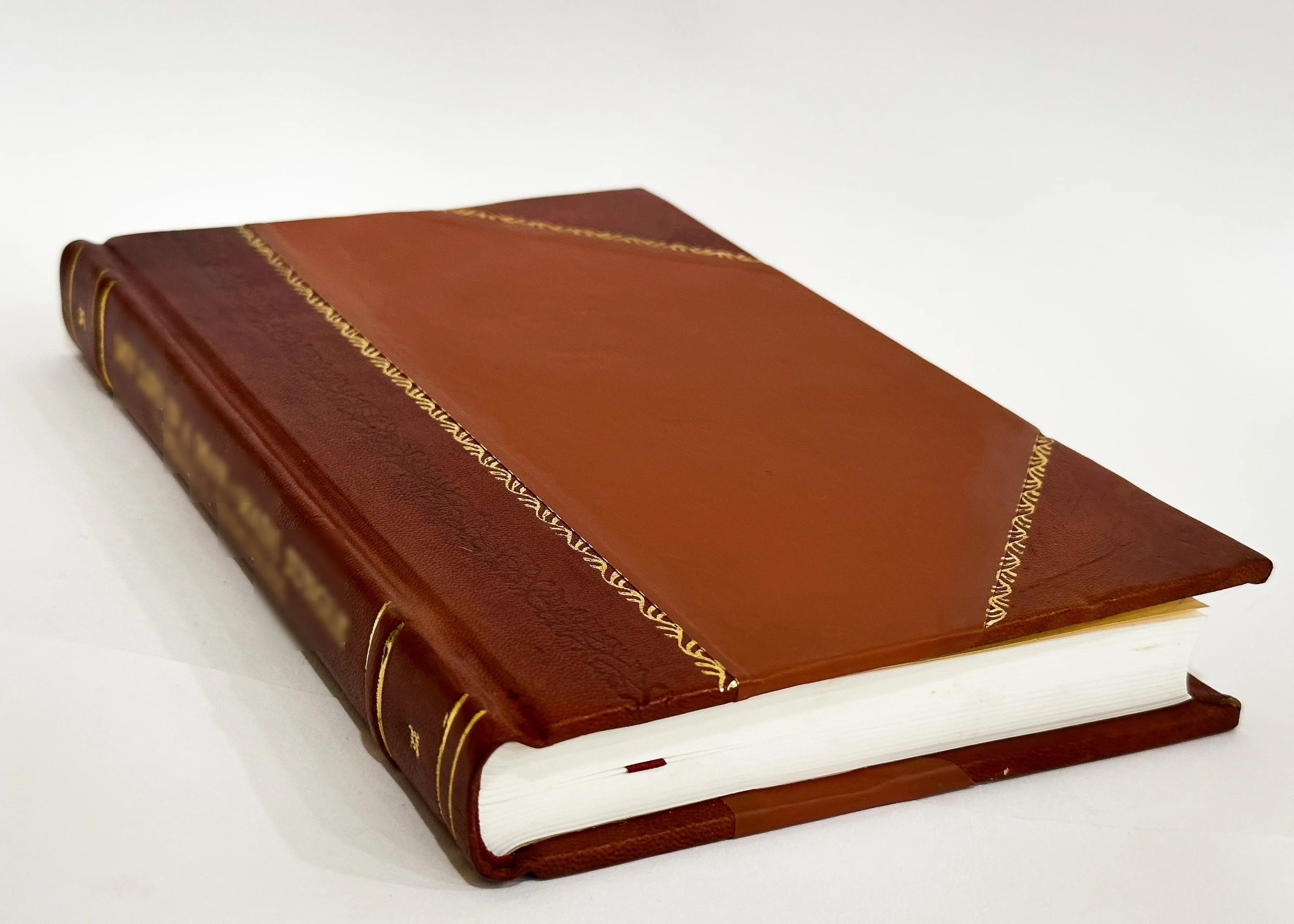 Leather Bound Book D7829