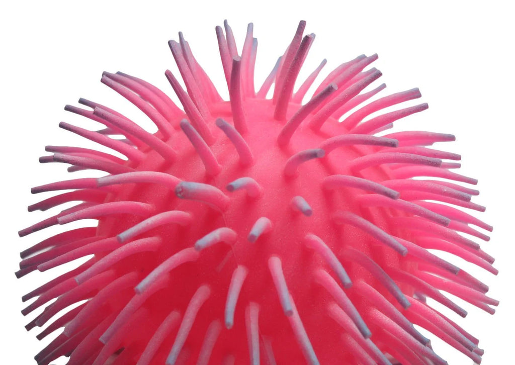 9" Puffer Ball Sensory Fidget Toy A227170
