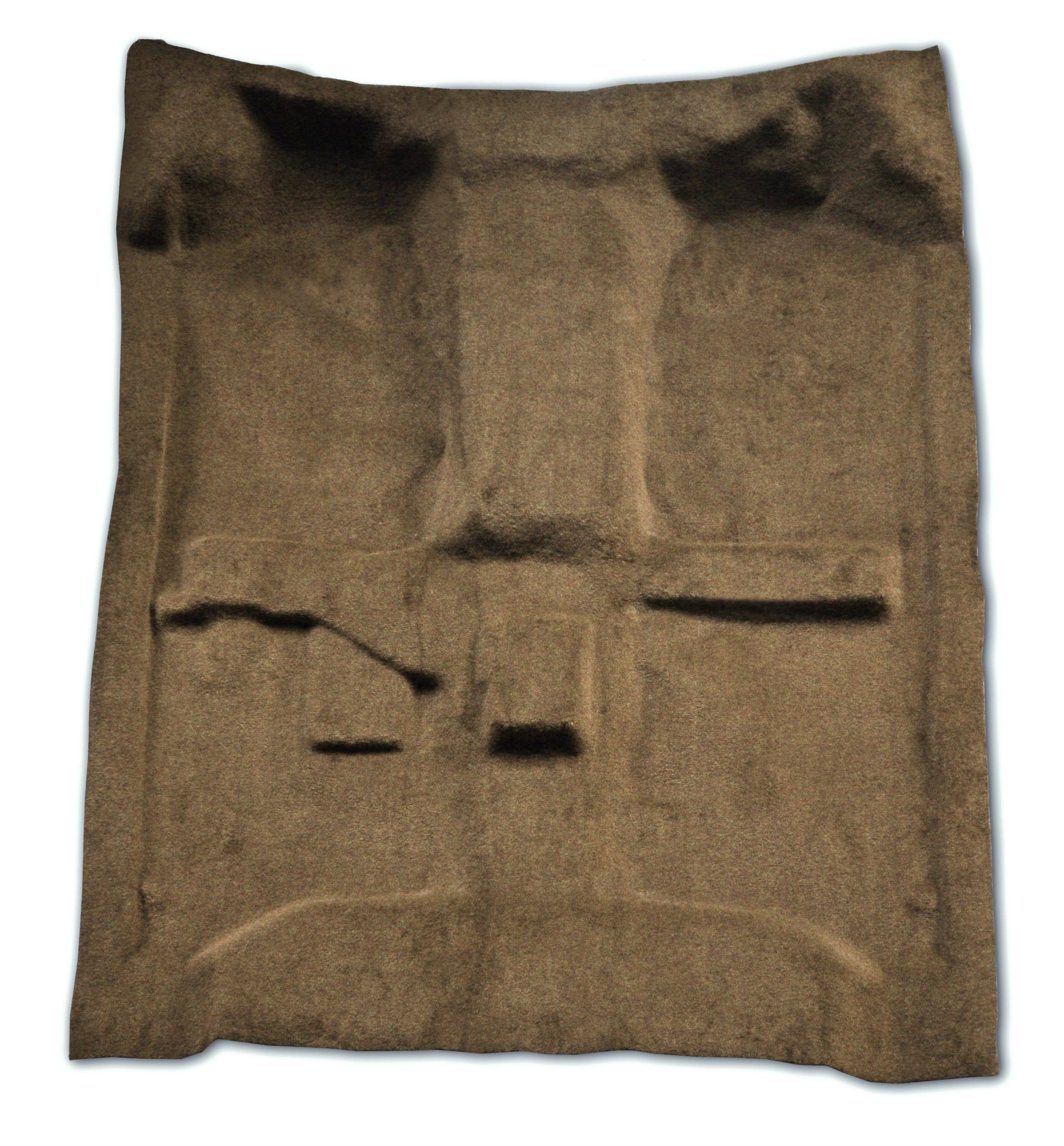 Replacement Carpet D295418