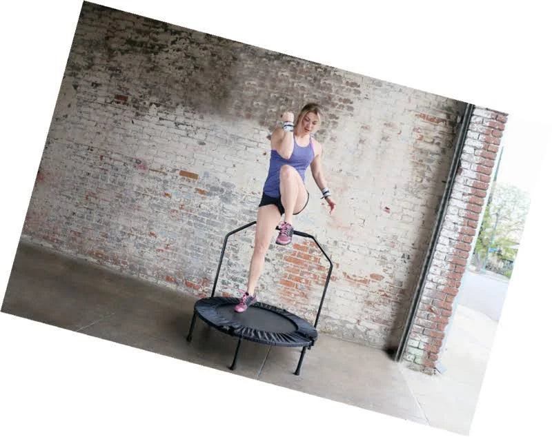 Cardio Trainer with Handle E920