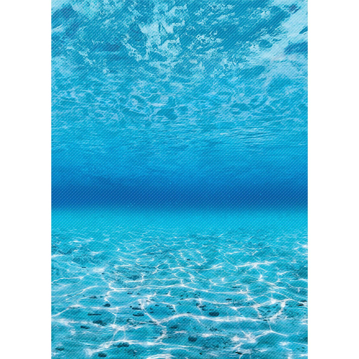 Under The Sea Bulletin Board Roll, Pack of 4 U57020