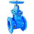 Cast Iron Gate Valve 4 in FLG T646