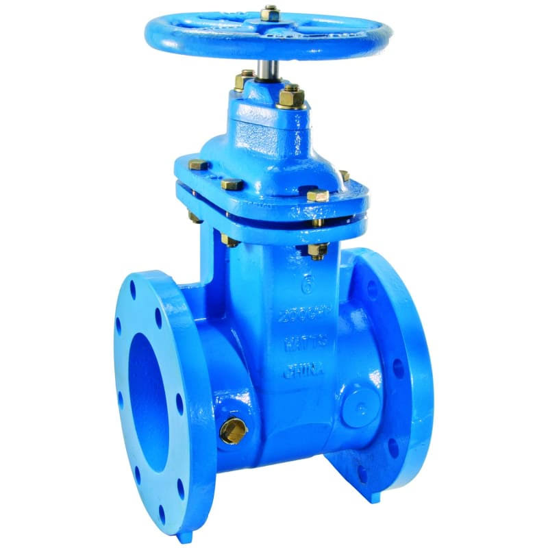 Cast Iron Gate Valve 4 in FLG T646