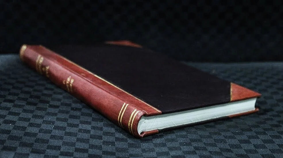 Novela Picaresca History Leatherbound Book V122623
