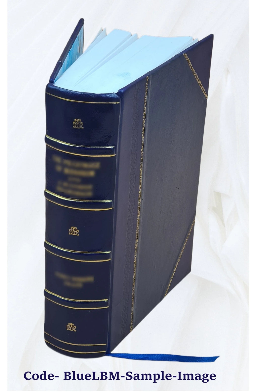Leather Bound Book T20579
