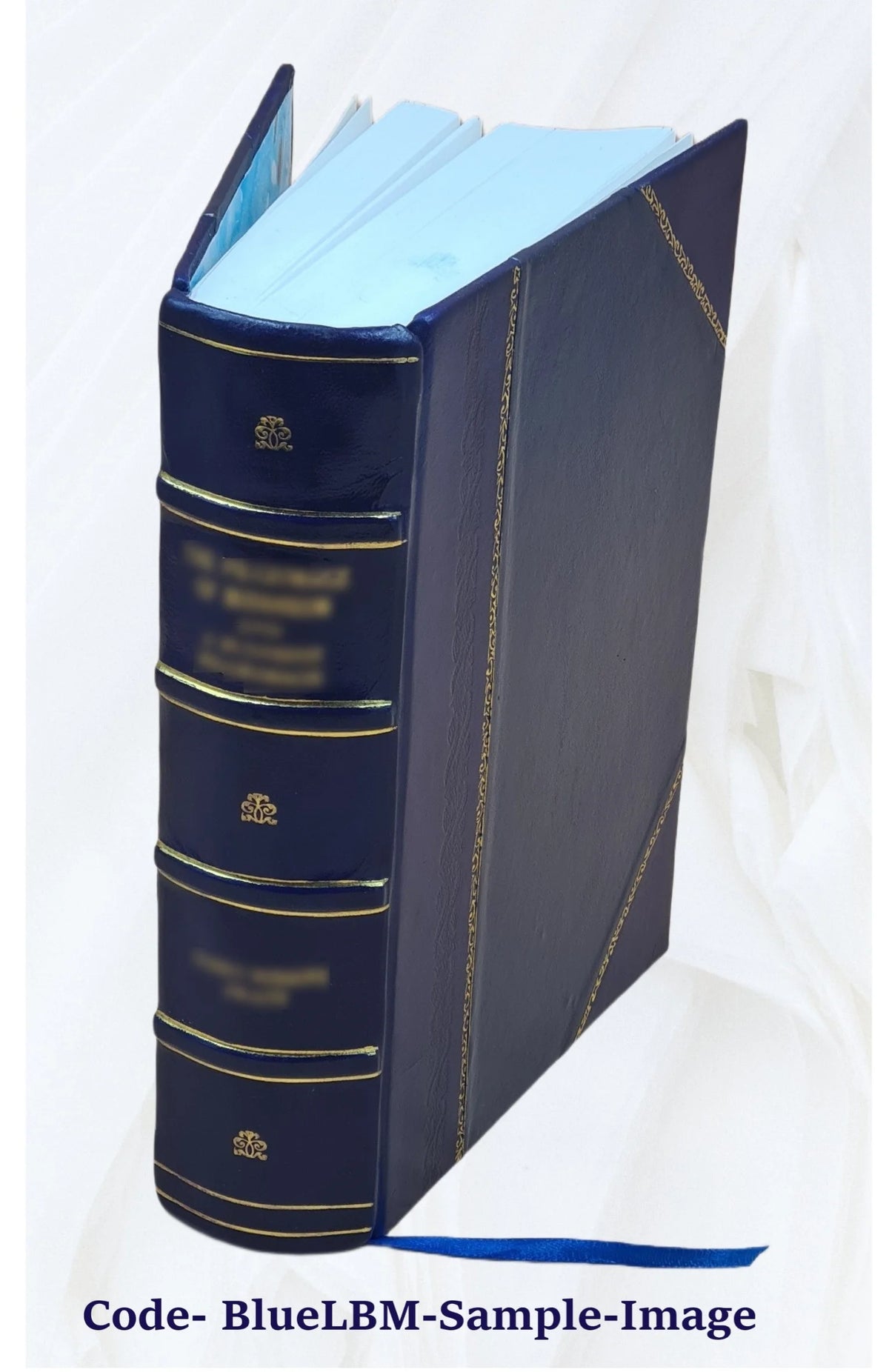 Leather Bound Book T20579