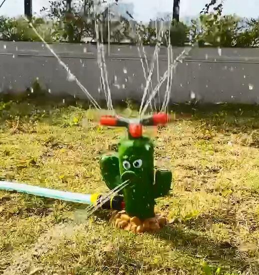 Outdoor Water Spray Sprinkler Toy W51152