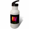 Orange Red Purple Dew Covered Tulips 21 oz Sports Water Bottle X2209