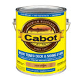 Natural Wood Toned Deck Stain - 1 gal V70853