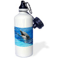 21 oz Sports Water Bottle F714301