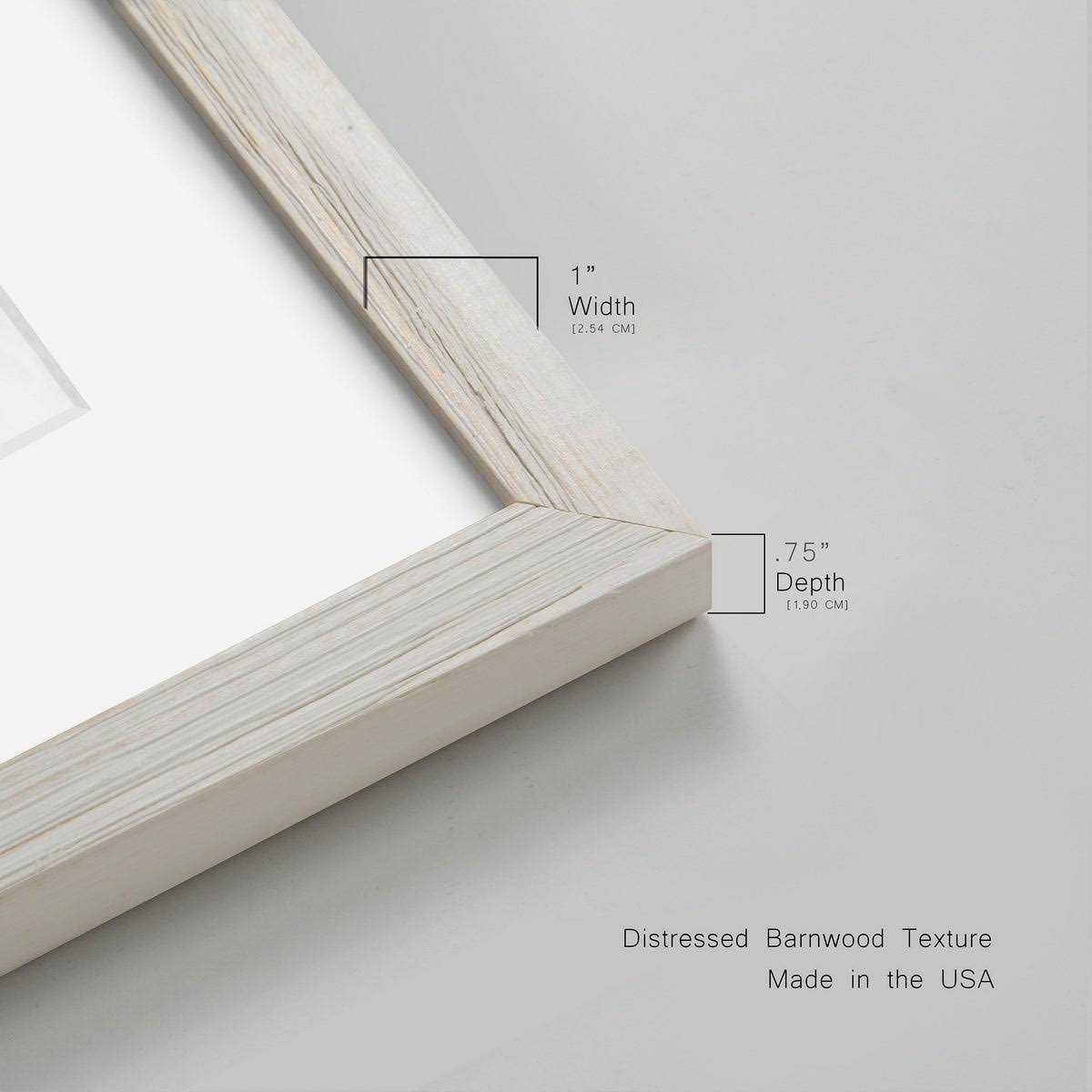 Framed Print - 20x24 - Grey N50924