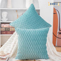 Set of 2 Velvet Decorative Throw Pillow Covers 20x20 inch Square Cushion Case I227