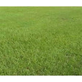 10 lbs. Lawn Grass Seed W70076