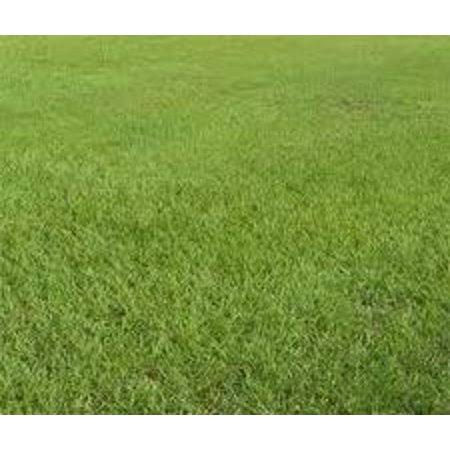 10 lbs. Lawn Grass Seed W70076