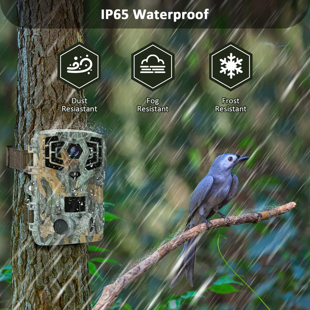 4K 32MP Bluetooth Wildlife Camera with Night Vision B207
