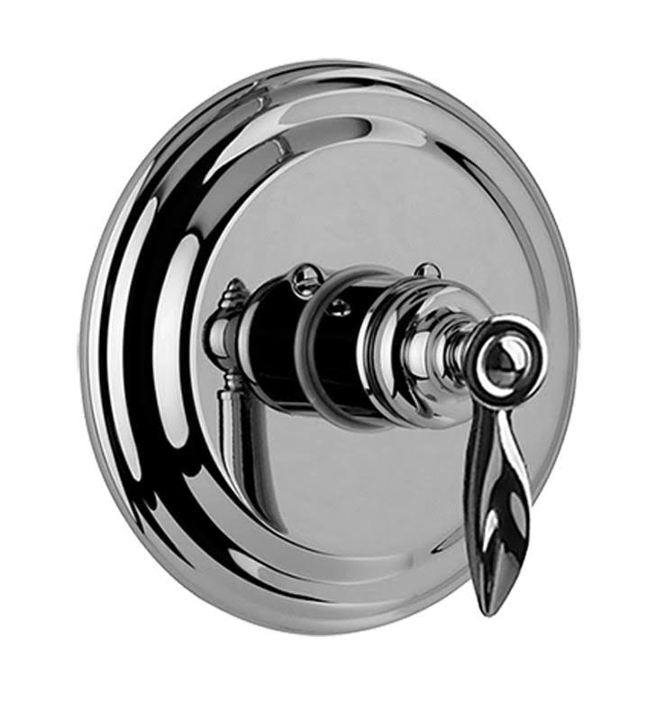 Polished Chrome Trim Plate with Handle J5954