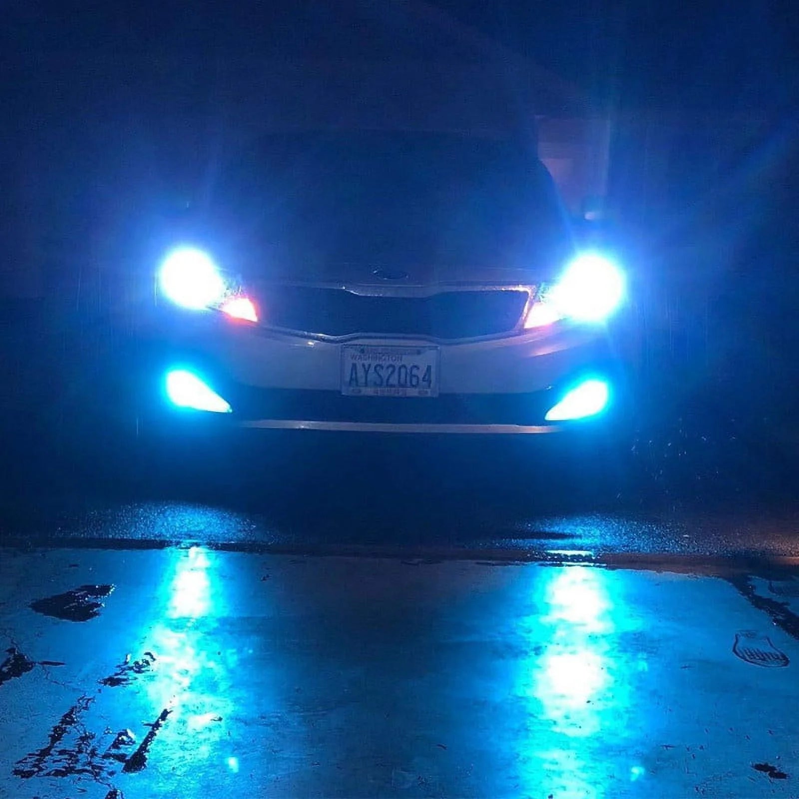 Ice Blue LED Fog Light Bulbs 2504 D670644