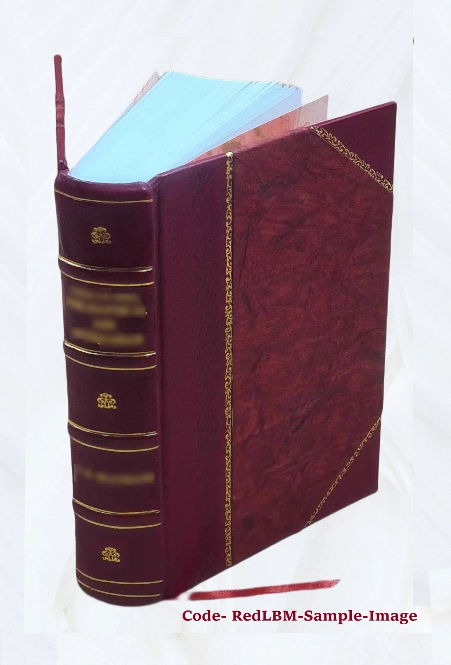 Leather Bound Book T20579