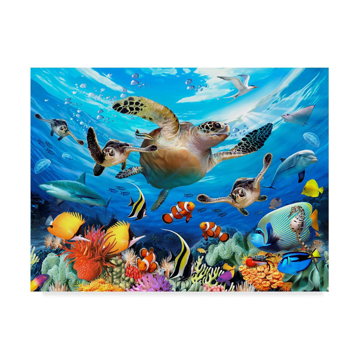Large Turtle Canvas Art (24 in. W x 18 in. H) O826