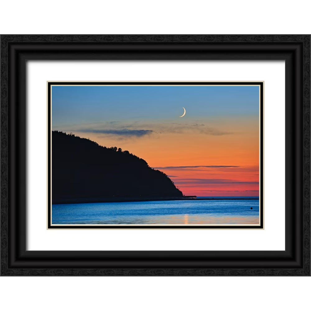Black Ornate Wood Framed Museum Art Print W468377