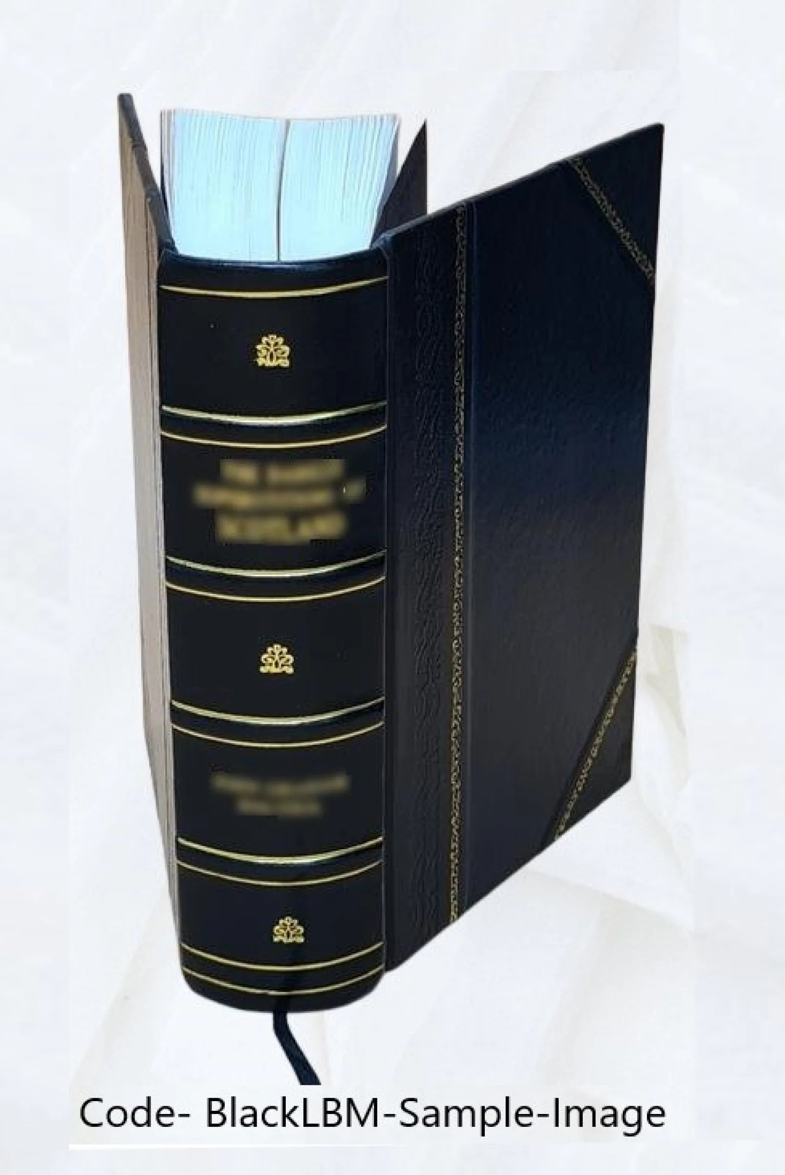 Leather Bound Book T20579