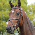 Black Grackle Bridle M18866