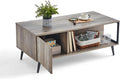 Brown Wood Coffee Table with Cabinet Door X5258