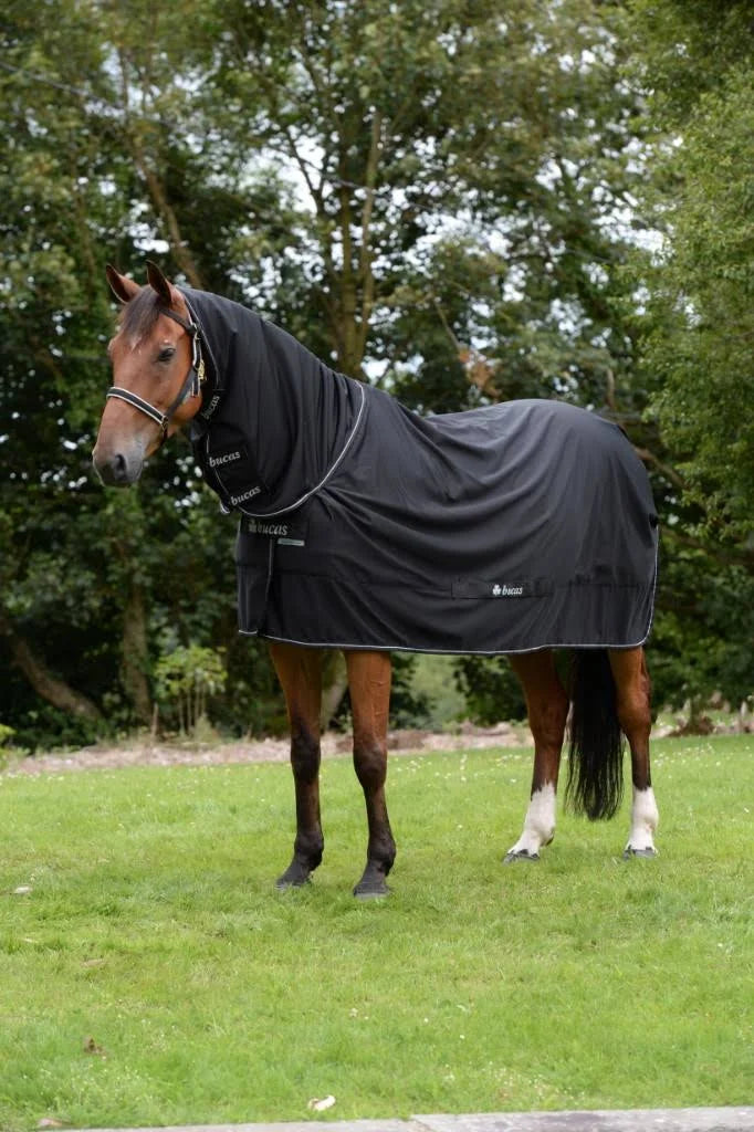 Black Full Neck Horse Rug B50424