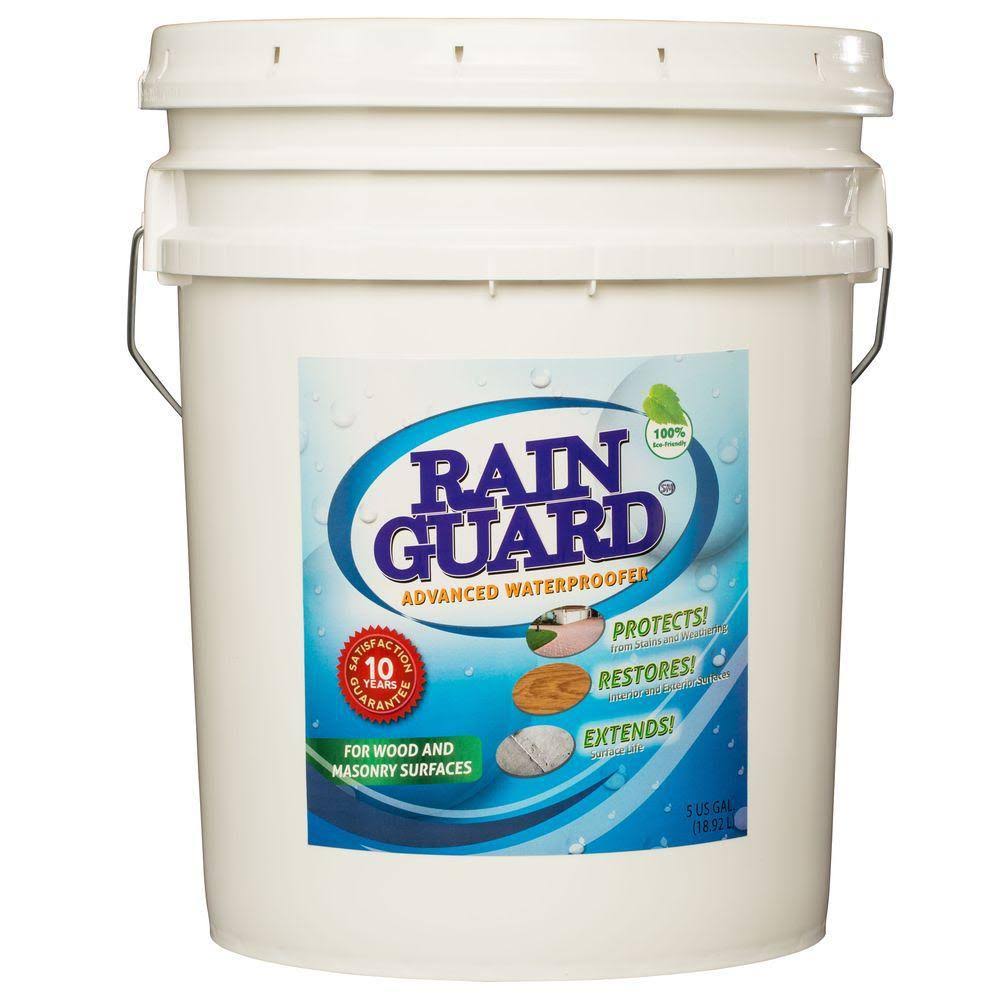 Clear Masonry & Wood Water Sealer F2289