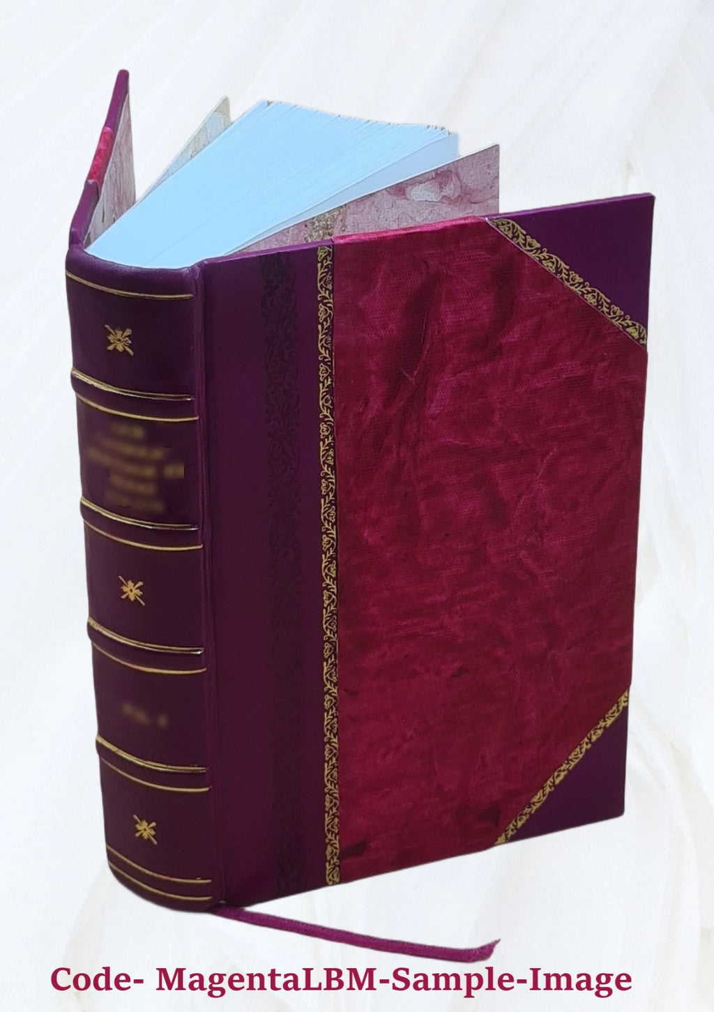 Leather Bound Book T20579