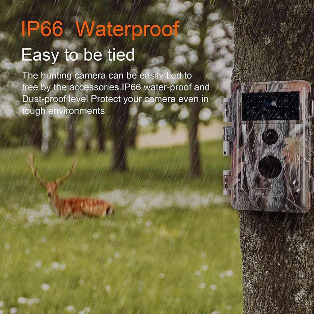 2-Pack 24MP 1296P No Glow Waterproof Trail Cameras F24516