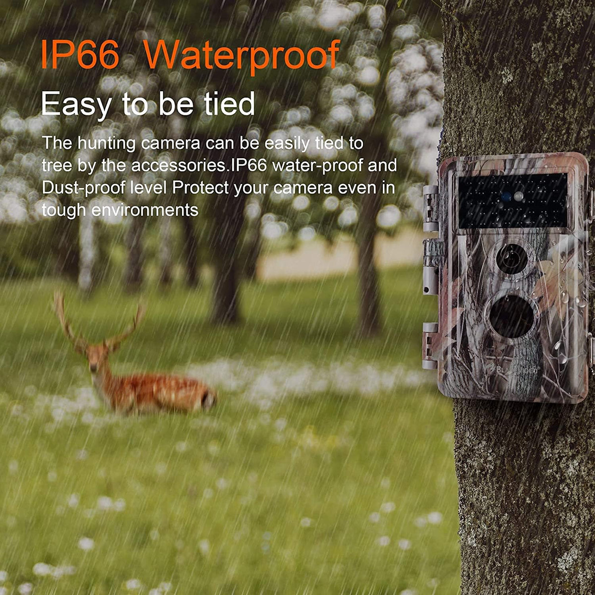2-Pack 24MP 1296P No Glow Waterproof Trail Cameras F24516
